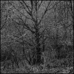 IMG_0008-004