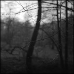 IMG_0011-009