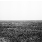 006-004