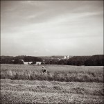IMG_0011-009