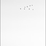 019-009