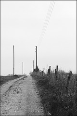 Voigtländer Bessa R, Elmar 3,5/50mm Voigtländer Bessa R, Elmar 3,5/50mm