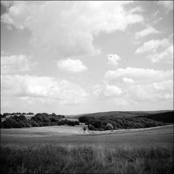 Adox Golf 63