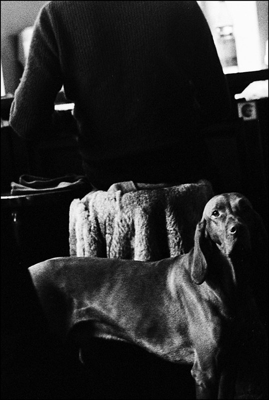 Rollei 35SE Rollei 35SE