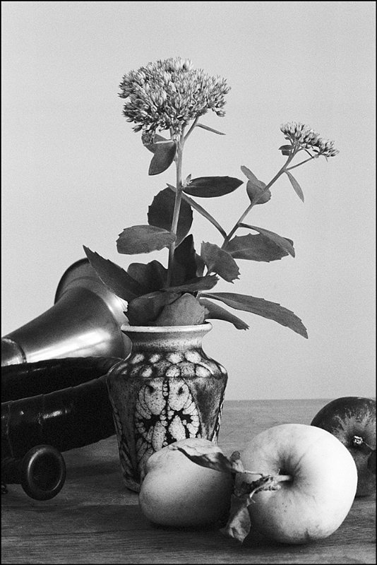 Minolta X700
