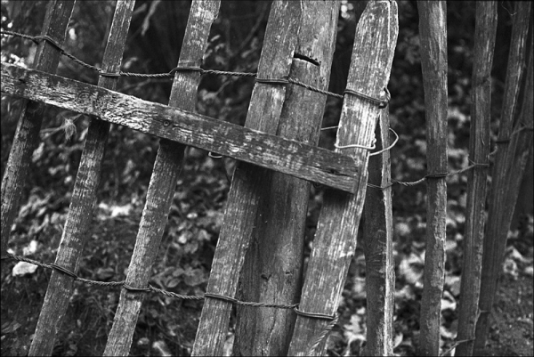 Yashica Electro GS | Agfa APX100 | ISO 100/21° | Kleinbild Yashica Electro GS | Agfa APX100 | ISO 100/21° | Kleinbild