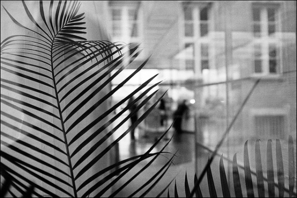 Yashica Electro 35 GS Yashica Electro 35 GS