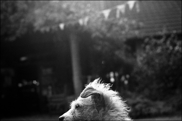 Yashica Electro GS | Agfa APX100 | ISO 100/21° | Kleinbild Yashica Electro GS | Agfa APX100 | ISO 100/21° | Kleinbild